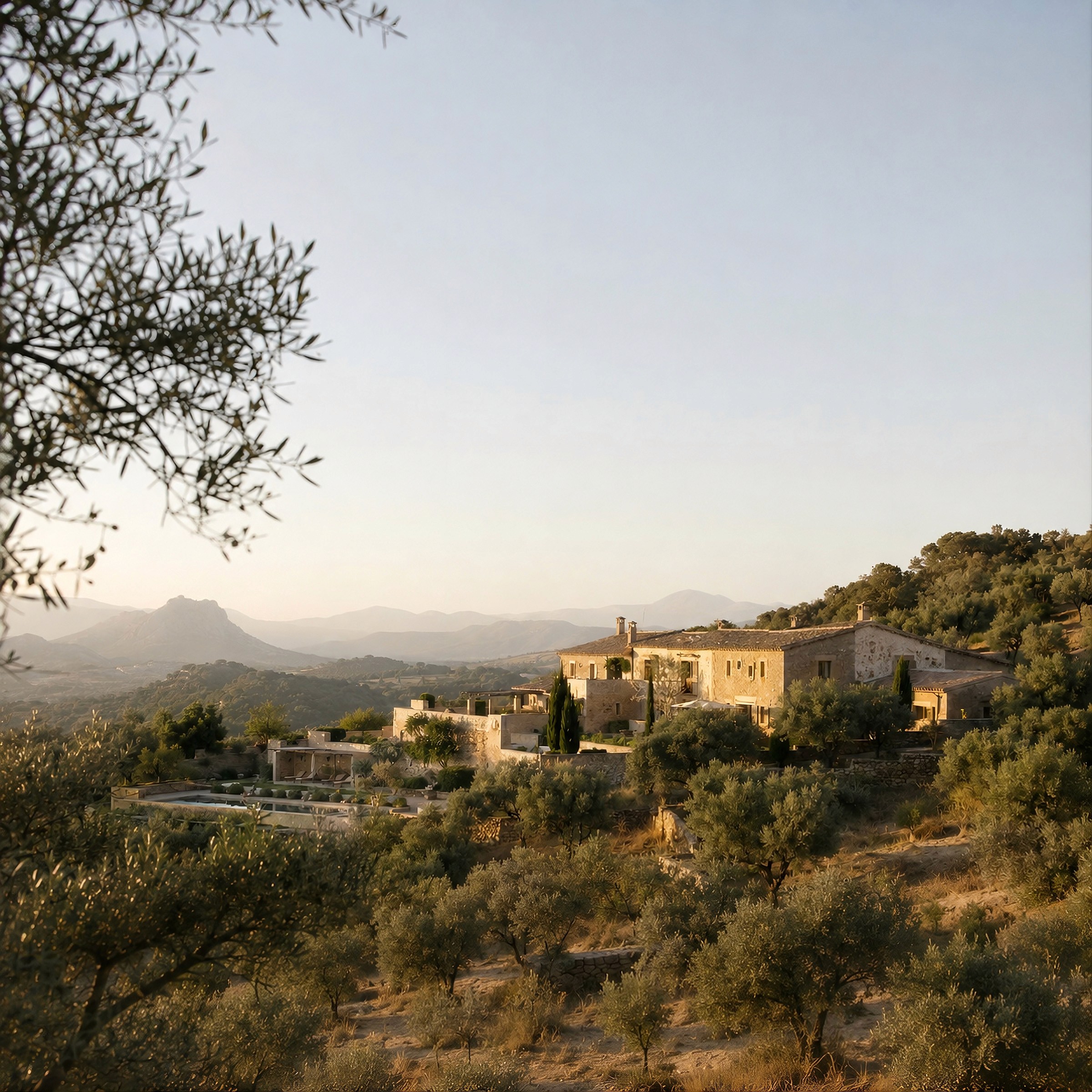 Distant view of a traditional stone villa nestled in a hilly landscape covered with olive trees.