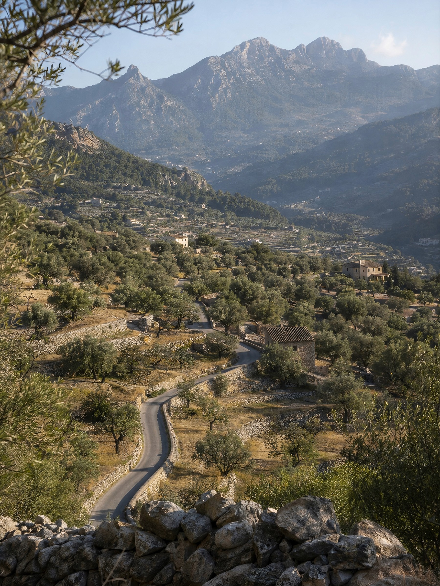 A winding paved road cutting through terraced olive groves in a mountainous valley.