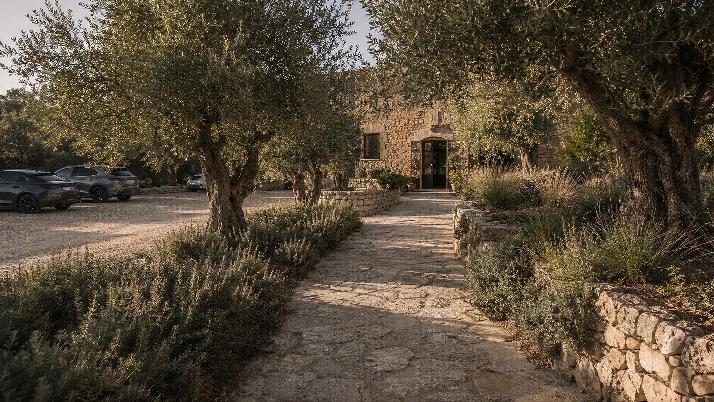 Stone pathway shaded by olive trees leading to a traditional stone building, with cars in a gravel parking area.