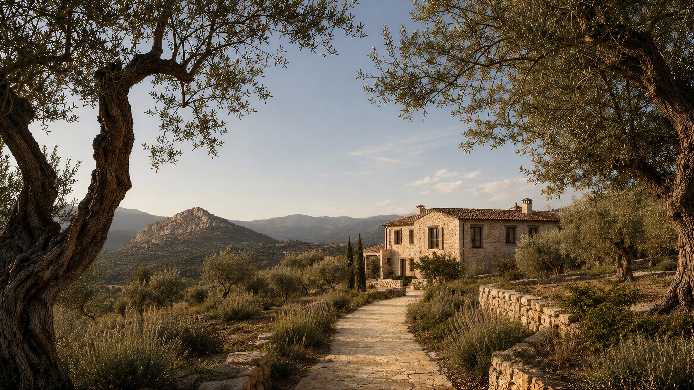 Stone pathway winding past large olive trees toward a rustic stone villa and distant mountains.